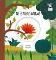 Niespodzianka Magiczne koło Kapitan Nauka. Autor: Clima Gabriele. Dadada.pl Okładka książki Niespodzianka Magiczne koło Kapitan Nauka