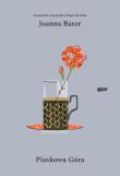Piaskowa góra. Autor: Joanna Bator. Dadada.pl Okładka książki Piaskowa góra