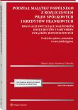 Okładka książki Podział majątku wspólnego małżonków konkubentów i partnerów związków jednopłciowych z rozliczeniem