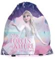 Opakowanie Worek na buty Frozen DF21GW-712 PASO