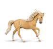Opakowanie Andalusian stallion - Palomino