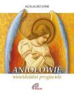 Aniołowie, niewidzialni przyjaciele. Autor: Agnaldo Jose. Dadada.pl Okładka książki Aniołowie, niewidzialni przyjaciele