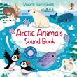 ARCTIC ANIMALS SOUND BOOK. Autor: Taplin Sam. Dadada.pl Okładka książki ARCTIC ANIMALS SOUND BOOK