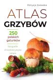 Atlas grzybów. Autor: Patrycja Zarawska. Dadada.pl Okładka książki Atlas grzybów