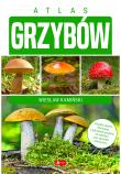 Atlas grzybów. Autor: Opracowanie zbiorowe. Dadada.pl Okładka książki Atlas grzybów