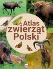 Atlas zwierząt Polski. Autor: Ulanowski Krzysztof. Dadada.pl Okładka książki Atlas zwierząt Polski