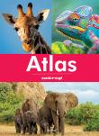 Atlas zwierząt. Autor: Kępa Marta. Dadada.pl Okładka książki Atlas zwierząt