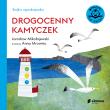 Bajka uspokajanka. Drogocenny kamyczek. Autor: Mikołajewski Jarosław. Dadada.pl Okładka książki Bajka uspokajanka. Drogocenny kamyczek