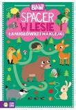 Baw się. Spacer w lesie. Łamigłówki i zabawy. Autor: Opracowanie zbiorowe. Dadada.pl Okładka książki Baw się. Spacer w lesie. Łamigłówki i zabawy