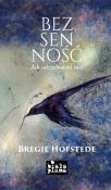 Bezsenność. Autor: Bregje Hofstede. Dadada.pl Okładka książki Bezsenność