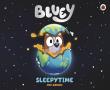 Bluey: Sleepytime. Autor: Joe Brumm. Dadada.pl Okładka książki Bluey: Sleepytime