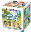 Opakowanie BrainBox - Zwierzęta domowe REBEL