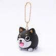Brelok Jibber Pet Charms chichuachua czarny. Wydawca: Jabber Ball. Dadada.pl Opakowanie Brelok Jibber Pet Charms chichuachua czarny
