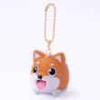 Opakowanie Brelok Jibber Pet Charms corgi brązowy