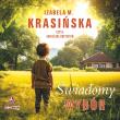 CD MP3 Świadomy wybór. Autor: Izabela M. Krasińska. Dadada.pl Okładka książki CD MP3 Świadomy wybór