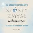 CD MP3 Szósty zmysł codzienności (audiobook). Autor: Strzelczyk Grzegorz. Dadada.pl Okładka książki CD MP3 Szósty zmysł codzienności (audiobook)