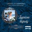 CD MP3 Zaginione klejnoty. Dworek nad Biebrzą. Tom 1. Autor: Gajdowska Urszula. Dadada.pl Okładka książki CD MP3 Zaginione klejnoty. Dworek nad Biebrzą. Tom 1