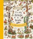 Co się dzieje w lesie? wyd. 2025. Autor: Freya Hartas, Rachel Piercey. Dadada.pl Okładka książki Co się dzieje w lesie? wyd. 2025