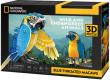 Opakowanie Cubic Fun Puzzle 3D National Geographic Zagrożone zwierzęta - Ara Szafirowa