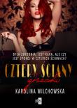 Cztery ściany grzechu. Autor: Karolina Wilchowska. Dadada.pl Okładka książki Cztery ściany grzechu