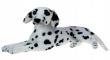 Opakowanie Dalmatyńczyk 47cm