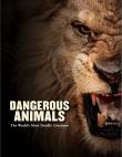 Dangerous Animals. Autor: Madden Barry. Dadada.pl Okładka książki Dangerous Animals