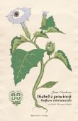 Diabeł z prowincji. Autor: Cardenas Juan. Dadada.pl Okładka książki Diabeł z prowincji