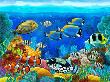 Opakowanie Diamentowa mozaika Egzotyczne rybki 60882
