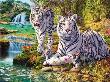 Opakowanie Diamentowa mozaika Rodzina białych tygrysów 60646