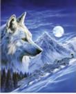 Opakowanie Diamentowa mozaika Wilk zimową nocą NO-1007000