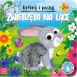 Dotknij i poczuj. Zwierzęta na łące. Książeczka sensoryczna. Autor: Grażyna Wasilewicz. Dadada.pl Okładka książki Dotknij i poczuj. Zwierzęta na łące. Książeczka sensoryczna