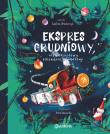 Ekspres grudniowy, czyli odjazdowy kalendarz adwentowy. Autor: Ewelina Włodarczyk. Dadada.pl Okładka książki Ekspres grudniowy, czyli odjazdowy kalendarz adwentowy