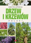 Encyklopedia drzew i krzewów Polski. Autor: Opracowanie zbiorowe. Dadada.pl Okładka książki Encyklopedia drzew i krzewów Polski