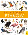 Encyklopedia ptaków. Autor: Paweł Zalewski. Dadada.pl Okładka książki Encyklopedia ptaków