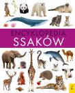 Encyklopedia ssaków. Autor: Paweł Zalewski. Dadada.pl Okładka książki Encyklopedia ssaków