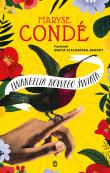 Ewangelia Nowego Świata. Autor: Conde Maryse. Dadada.pl Okładka książki Ewangelia Nowego Świata