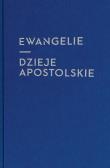 Ewangelie i Dzieje Apostolskie. Autor:   Praca zbiorowa. Dadada.pl Okładka książki Ewangelie i Dzieje Apostolskie