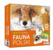 Opakowanie Fauna Polski memory