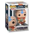 Opakowanie Figurka Avatar the Last Airbender Funko Pop