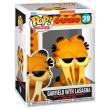 Opakowanie Figurka Comics Garfield with Lasagna Funko Pop