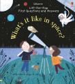 First Questions and Answers: What's it like in Space?. Autor: Katie Daynes. Dadada.pl Okładka książki First Questions and Answers: What's it like in Space?