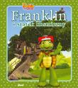 Franklin i statek kosmiczny. Franklin i przyjaciele. Autor: Paulette Bourgeois. Dadada.pl Okładka książki Franklin i statek kosmiczny. Franklin i przyjaciele