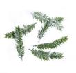Opakowanie Gałązki jodły 9,5cm 6szt