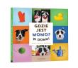 Gdzie jest Momo? W domu!. Autor: Andrew Knapp. Dadada.pl Okładka książki Gdzie jest Momo? W domu!