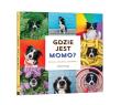 Gdzie jest Momo?. Autor: Andrew Knapp. Dadada.pl Okładka książki Gdzie jest Momo?