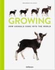 Growing. Autor: Willemsen Marlonneke. Dadada.pl Okładka książki Growing