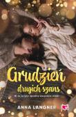 Grudzień drugich szans. Autor: Anna Langner. Dadada.pl Okładka książki Grudzień drugich szans