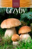 Grzyby. Spotkania z przyrodą. Autor: Marek Snowarski. Dadada.pl Okładka książki Grzyby. Spotkania z przyrodą