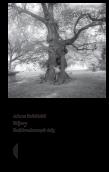 Hajstry. Krajobraz bocznych dróg wyd. 2023. Autor: Adam Robiński. Dadada.pl Okładka książki Hajstry. Krajobraz bocznych dróg wyd. 2023
