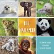 Hej maluszku!. Autor: Stephanie Warren Drimmer. Dadada.pl Okładka książki Hej maluszku!